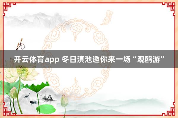 开云体育app 冬日滇池邀你来一场“观鸥游”