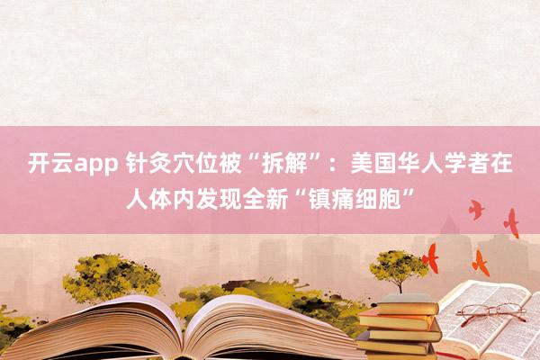 开云app 针灸穴位被“拆解”：美国华人学者在人体内发现全新“镇痛细胞”