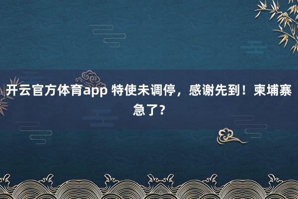 开云官方体育app 特使未调停，感谢先到！柬埔寨急了？