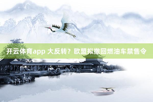 开云体育app 大反转？欧盟拟撤回燃油车禁售令