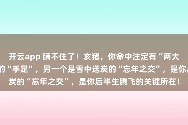 开云app 瞒不住了！亥猪，你命中注定有“两大靠山”，一个血脉相依的“手足”，另一个是雪中送炭的“忘年之交”，是你后半生腾飞的关键所在！