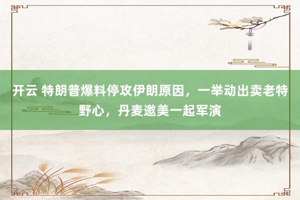 开云 特朗普爆料停攻伊朗原因，一举动出卖老特野心，丹麦邀美一起军演