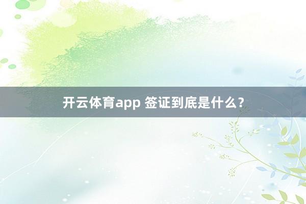 开云体育app 签证到底是什么？