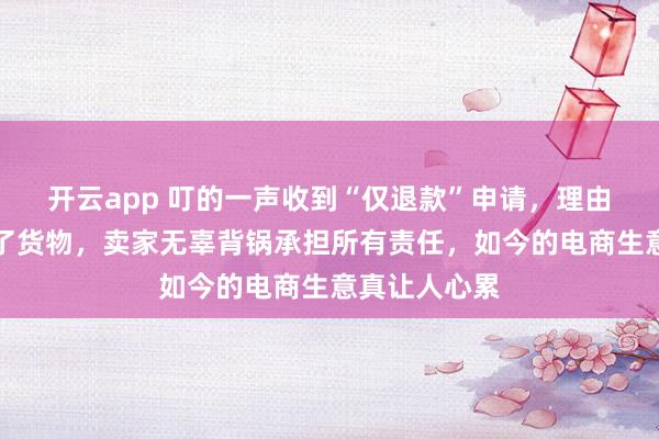开云app 叮的一声收到“仅退款”申请,理由竟是驿站丢了货物,卖家无辜背锅承担所有责任,如今的电商生意真让人心累