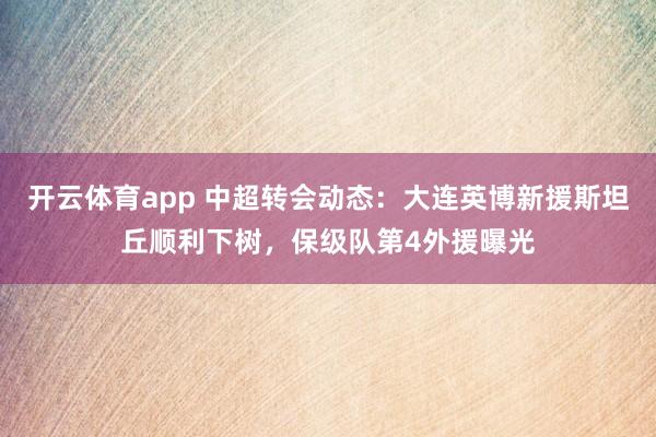 开云体育app 中超转会动态:大连英博新援斯坦丘顺利下树,保级队第4外援曝光