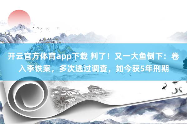 开云官方体育app下载 判了！又一大鱼倒下：卷入李铁案，多次逃过调查，如今获5年刑期