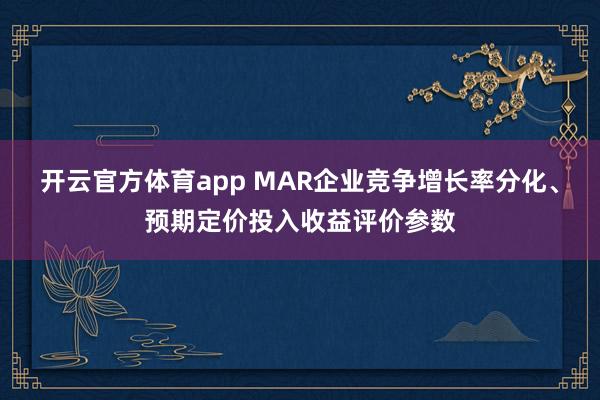 开云官方体育app MAR企业竞争增长率分化、预期定价投入收益评价参数