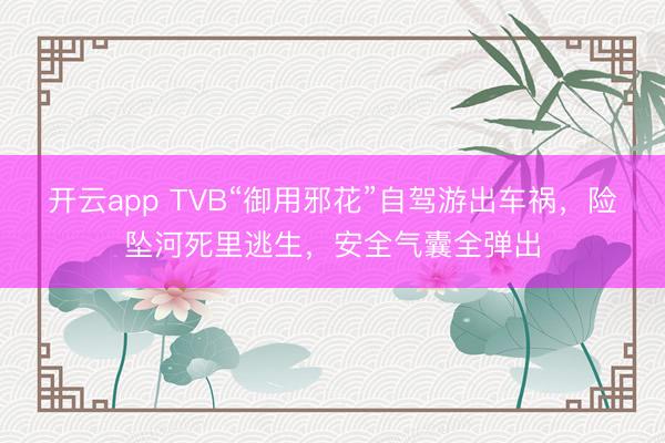 开云app TVB“御用邪花”自驾游出车祸,险坠河死里逃生,安全气囊全弹出