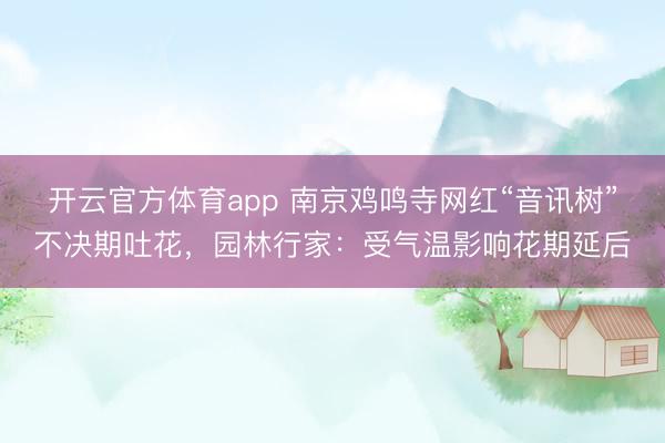 开云官方体育app 南京鸡鸣寺网红“音讯树”不决期吐花，园林行家：受气温影响花期延后